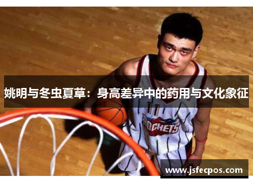 姚明与冬虫夏草：身高差异中的药用与文化象征